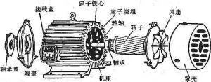 振動電機損壞的常見原因有哪些？